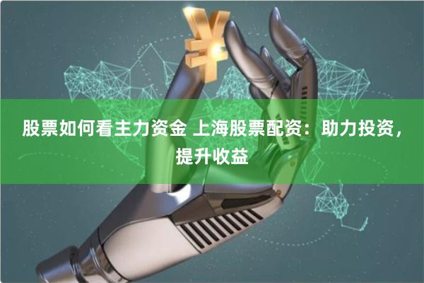 股票如何看主力资金 上海股票配资：助力投资，提升收益